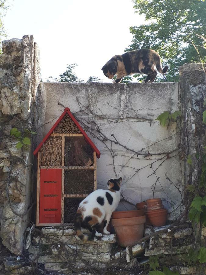 Au Chat Perché Mareil-sur-Mauldre Extérieur photo